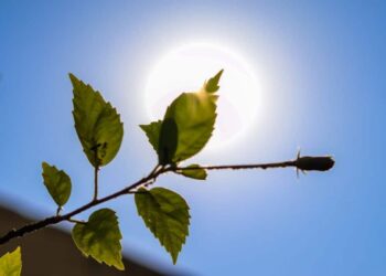 الإجهاد الحراري