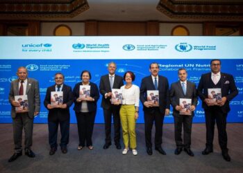 التعاون الإقليمي