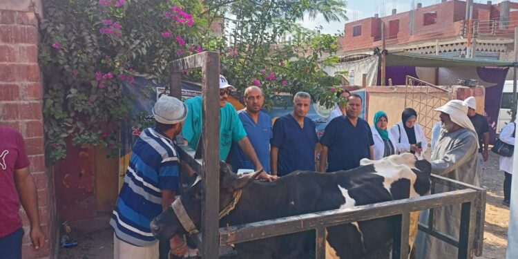 "التناسليات الحيوانية" ينظم قافلة بيطرية مجانية لمحافظة البحيرة 1 التناسليات الحيوانية