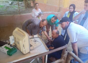 التناسليات الحيوانية