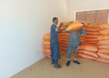 الريف المصري الجديد