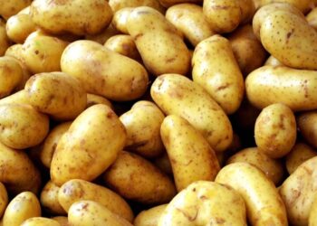 العلاج التجفيفي