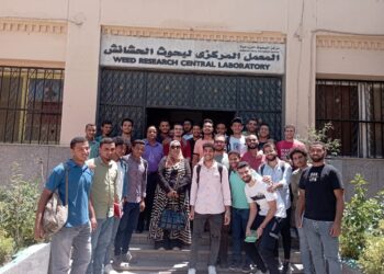 بحوث الحشائش