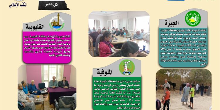 "الزراعة في كل مصر".. تعرف على أنشطة وجهود مديريات الزراعة والطب البيطري خلال الفترة من ١٢ وحتى ١٨  سبتمبر الجاري 1 الزراعة في كل مصر