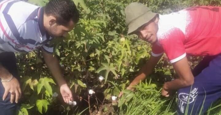 مديرية الزراعة ببورسعيد