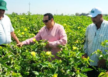 مديرية الزراعة بدمياط