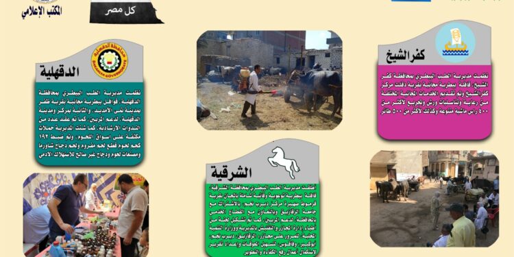 انفوجراف وفيديو| تعرف على أنشطة وجهود مديريات الزراعة والطب البيطري خلال أسبوع 1 انفوجراف وفيديو| تعرف على أنشطة وجهود مديريات الزراعة والطب البيطري خلال أسبوع