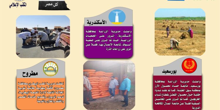 انفوجراف وفيديو| تعرف على أنشطة وجهود مديريات الزراعة والطب البيطري خلال أسبوع 1 انفوجراف وفيديو| تعرف على أنشطة وجهود مديريات الزراعة والطب البيطري خلال أسبوع