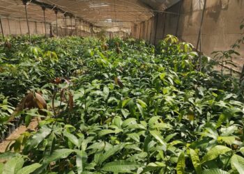 معهد البساتين