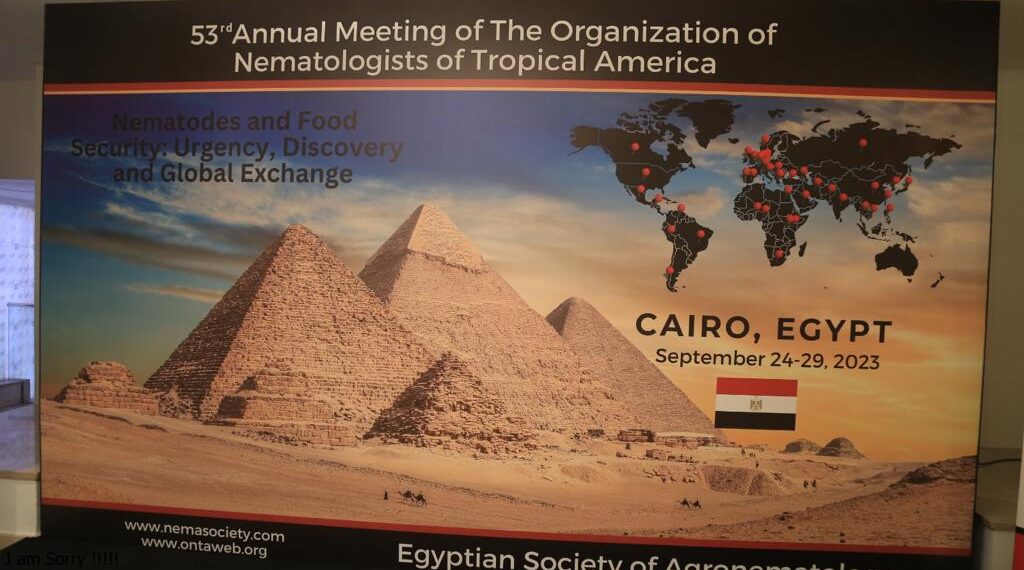 النيماتودا