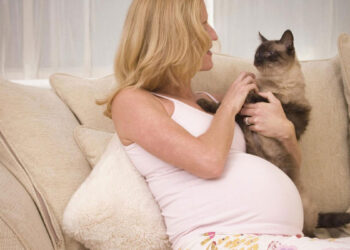 أمراض القطط