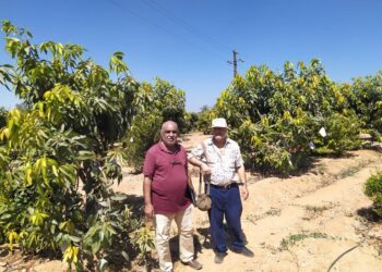 أمراض النباتات