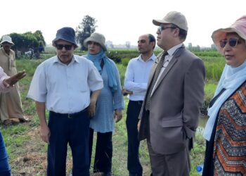 أمراض النباتات