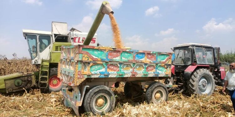 استصلاح الأراضي