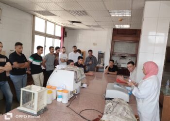 التناسليات الحيوانية