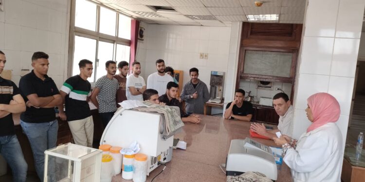 التناسليات الحيوانية