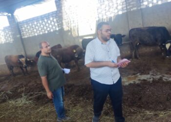 الخدمات البيطرية