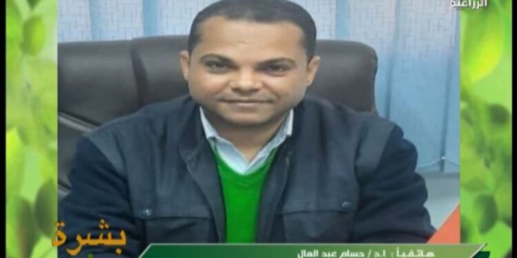 دمج أبناء سيناء في التنمية الزراعية المستدامة وأبرز أهدافها ومحاورها 1 دمج أبناء سيناء