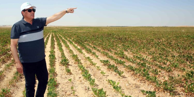 رئيس شركة "الريف المصري الجديد": نشجع الاستثمارات الخضراء في مختلف أراضي المشروع 1 الريف المصري الجديد