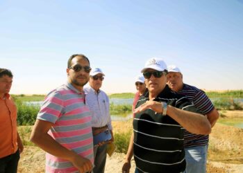 الريف المصري الجديد