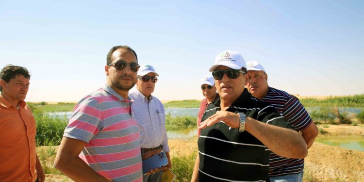 الريف المصري الجديد: أكثر من ٤٠٠ دورة إرشاد زراعي مجانية تم تنظيمها للمزارعين خلال العامين الماضيين 1 الريف المصري الجديد