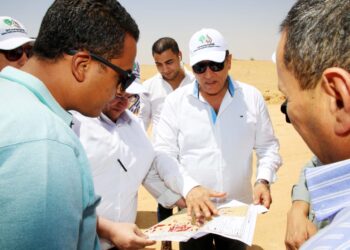 الريف المصري الجديد