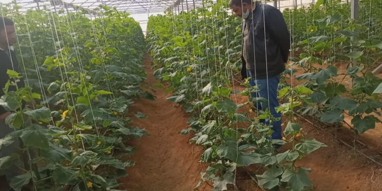 وزارة الزراعة