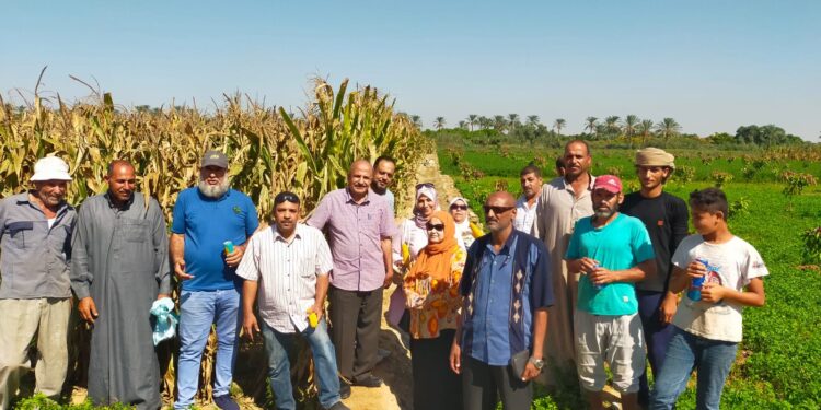 الزراعة تستعد لمكافحة العفن الهبابي وسوسة النخيل والقواض بدعم صغار المزارعين فنيا وماديا 1 العفن الهبابي