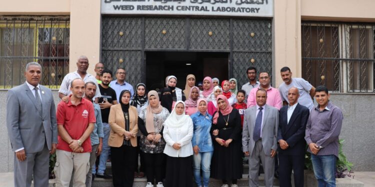 بحوث الحشائش