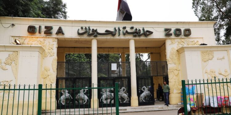 بدء تنفيذ مخطط تطوير حديقتي الحيوان والأورمان رسميًا 1 تطوير حديقتي الحيوان والأورمان