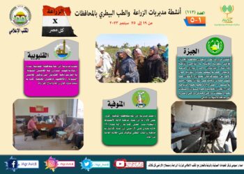 مركز المعلومات الصوتية