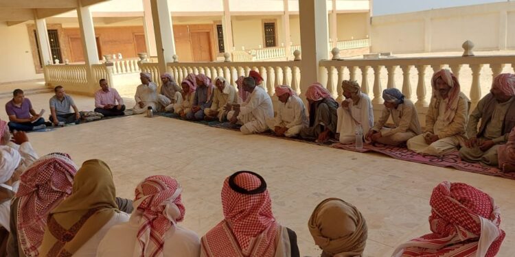 دمج أبناء سيناء في التنمية.. أهم الأنشطة التي تم تطبيقها على أرض الواقع 1 دمج أبناء سيناء