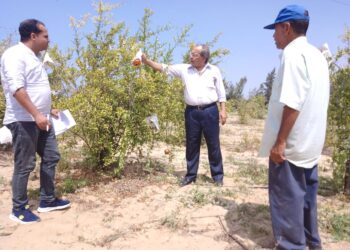 بحوث الصحراء