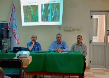 المكافحة المتكاملة للحشائش