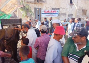 قافلة بيطرية