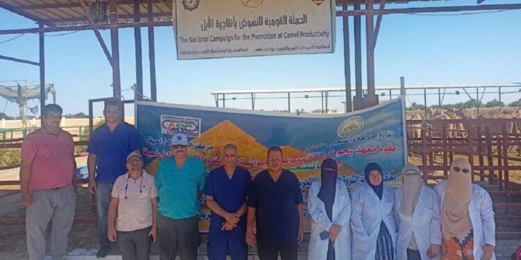 «الزراعة» تطلق قافلة بيطرية مجانية بمحافظة جنوب سيناء 1 الزراعة