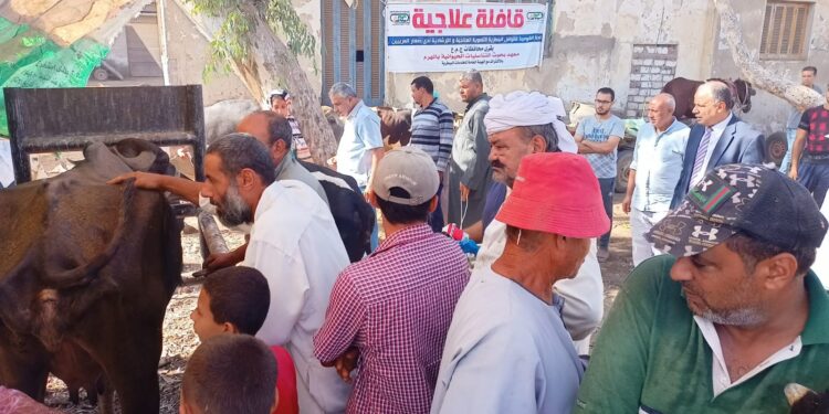 انطلاق فعاليات القافلة البيطرية المجانية لقرى محافظة كفر الشيخ 1 قافلة بيطرية