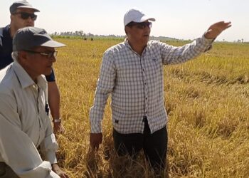 مديرية الزراعة بدمياط