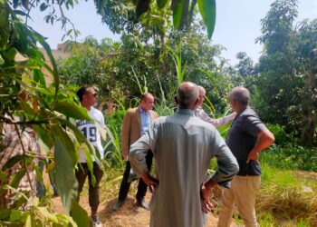 مكافحة الآفات