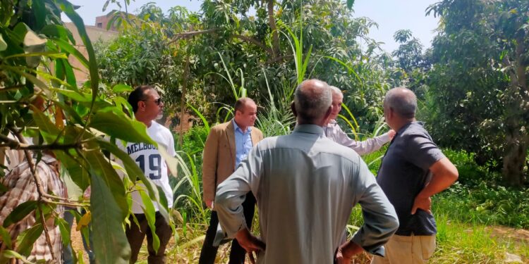 المركزية لمكافحة الآفات تستعد للموسم الشتوي بتوفير المبيدات والمعدات على مستوى الجمهورية 1 مكافحة الآفات