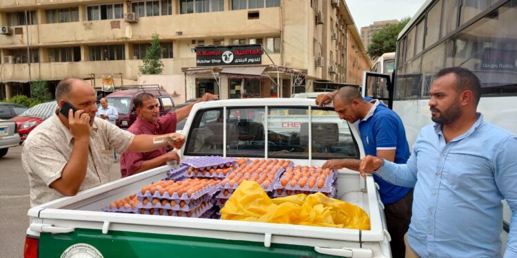 الزراعة تطلق 10 منافذ لبيع بيض المائدة في 5 محافظات 1 بيض المائدة