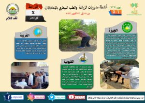 الزراعة في كل مصر