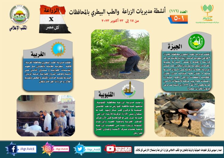 الزراعة في كل مصر