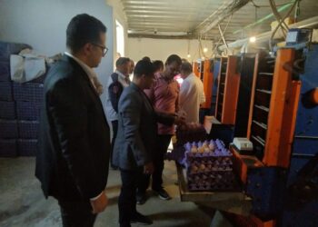 “لليوم الرابع” الزراعة والتموين وحماية المنافسة يواصلون التفتيش على شركات تداول بيض المائدة