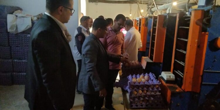 “لليوم الرابع” الزراعة والتموين وحماية المنافسة يواصلون التفتيش على شركات تداول بيض المائدة