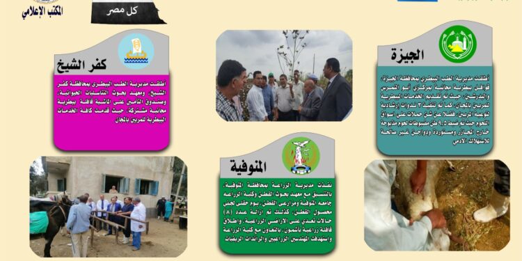 انفوجراف وفيديو| تعرف على أنشطة مديريات الزراعة والطب البيطري خلال أسبوع 1  انفوجراف وفيديو| تعرف على أنشطة مديريات الزراعة والطب البيطري خلال أسبوع