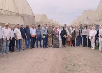 معهد المحاصيل الحقلية ينظم تدريب دولي لثمانية دول بالتعاون مع هيئة الطاقة الذرية