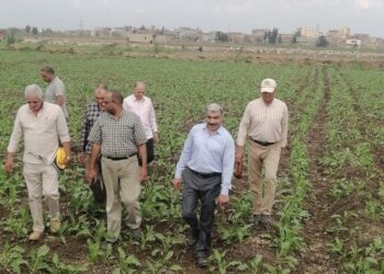 الزراعة تتابع الاستعداد لزراعة القمح وبدء الدورة الزراعية وتدوير قش الأرز بكفر الشيخ