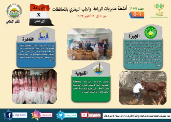 انفوجراف وفيديو| تعرف على أنشطة وجهود مديريات الزراعة والطب البيطري خلال أسبوع