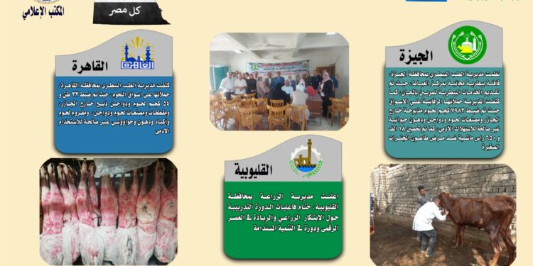 انفوجراف وفيديو| تعرف على أنشطة وجهود مديريات الزراعة والطب البيطري خلال أسبوع 1 انفوجراف وفيديو| تعرف على أنشطة وجهود مديريات الزراعة والطب البيطري خلال أسبوع